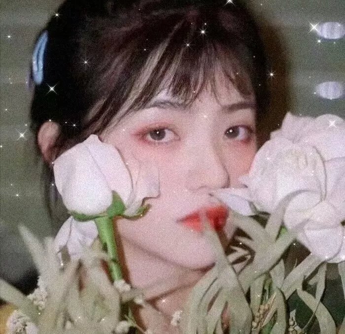 反贪风暴